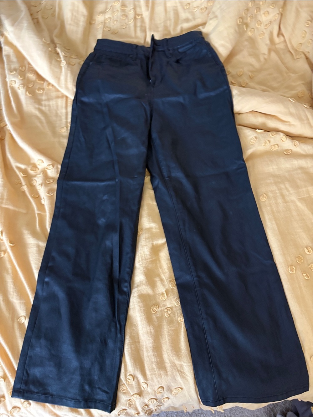 Blank NYC Black Coated Pants